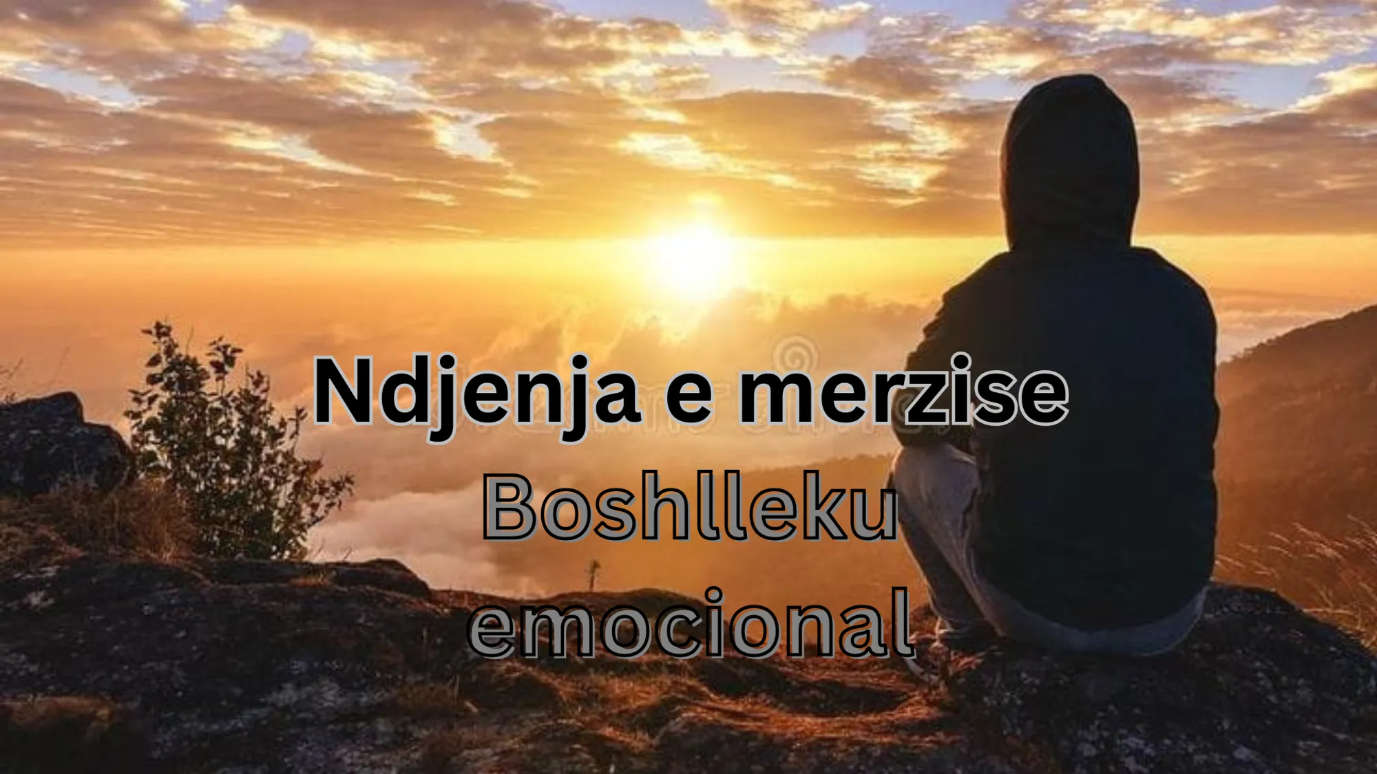 Cover for Merzia dhe boshlleku emocional